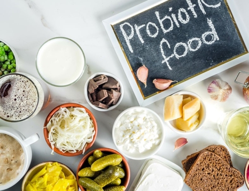 The Benefits of Probiotic Food for Mental Health